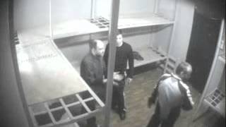 qarTveli qurdebi da qarTuli policia 2
