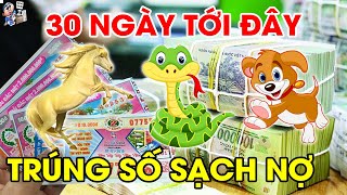 TOP 3 CON GIÁP 30 NGÀY TỚI ĐANG NỢ NGẬP MẶT TRÚNG LỚN LIÊN TIẾP, TIỀN BẠC CHẤT ĐỐNG, TRẢ SẠCH NỢ NẦN
