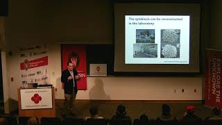 WN@TL - Light-emitting Bacteria & Their Hawaiian Bobtail Squid Hosts. Mark Mandel. 2019.12.18