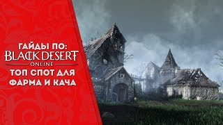 Black Desert ★ Топ Спот ★ для Фарма и Кача✓(MMORPG)