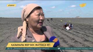 Атыраулық шаруалар: Жер кодексіндегі өзгерістер шаруаларға тиімді