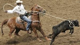 Competencia de Lazo y Barril en Caballos - TvAgro por Juan Gonzalo Angel