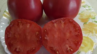 ТОМАТ "МАЛИНОВОЕ МАМИНО СЕРДЦЕ"(Mom's Raspberry Oxheart, Италия). №314. ДЕГУСТАЦИЯ. 
