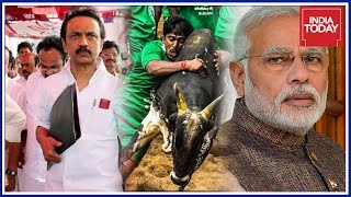 Jallikattu Protests Intensifies : MK Stalin Urges Modi Govt To Bring Jallikattu Ordinance