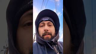 В Исландии 28 программистов! Согласно статистике StackOverflow #айти #айтиборода #неродина
