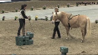 Ute Lehmann - Horse in Harmony - Del 3