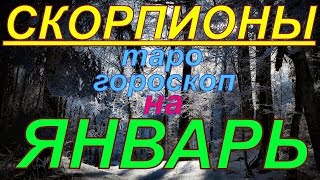 ГОРОСКОП СКОРПИОНЫ НА ЯНВАРЬ.2020