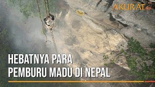 Hebatnya Para Pemburu Madu di Nepal