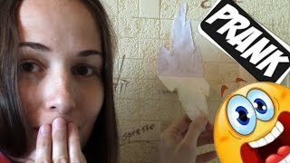 Розыгрыш "Порванные обои". PRANK Как разыграть друга. Лучшие розыгрыши.