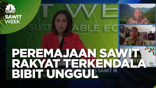 Dana Terbatas, Peremajaan Sawit Rakyat Terkendala Bibit Unggul!