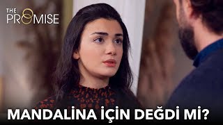 Bir mandalina için değer mi? | Yemin 180. Bölüm