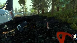 The Forest - GTX 750 Ti