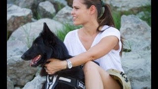 Y-belt for the Dog harness, Code: 162BG-P-13