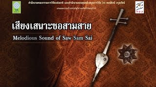 พญาครวญ (Phaya Kruan)