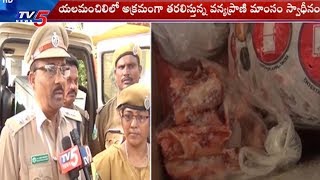Illegal Transport of Wild-Animal Meat Seized | Visakha | TV5 News