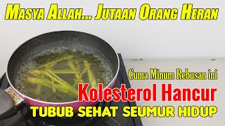 SETELAH NONTON VIDEO INI, ANDA AKAN MENCARI TANAMAN INI SAMPAI DAPAT