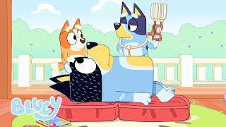 Busy Doctor Bluey | Hospital | Bluey