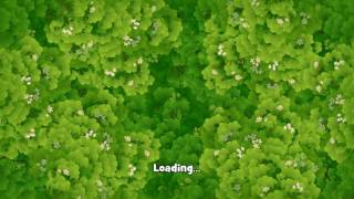 Gardenscapes level 1291