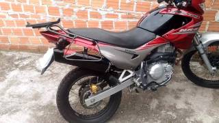 Coyote 2 way black na Falcon