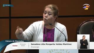 ? Sesión de la Comisión Permanente, del 28 de enero de 2020