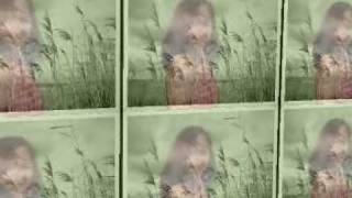 RITCHIE - SOPRA O VENTO