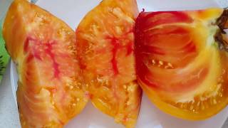 Томаты желтые с красным - би-колоры: Грейпфрут, Peppermint, Загадка природы