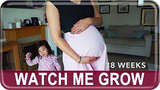 BABY BUMP PROGRESSION! Watch My Belly Grow | The Postmodern Family EP#63