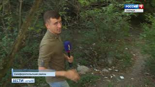 Голыми руками: В Крыму бывший десантник задушил волка