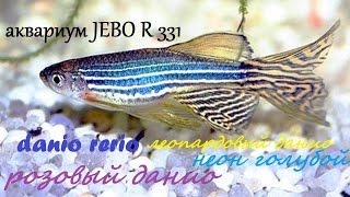 Аквариум JEBO R331