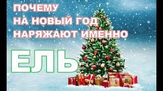 Такого откровения нигде не услышишь. Тайна Новогодней Ёлки.