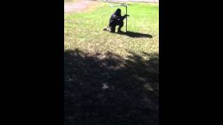 Ivanj gun accident