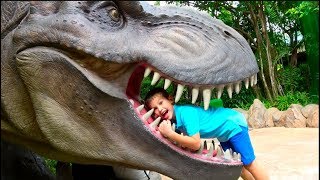 Amusement Park Singapor /Факт- Кем работал папа Макса до YouTube? С Новым Годом! Universal studios