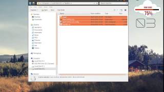 Navifirm 2013 100% WORKING!!