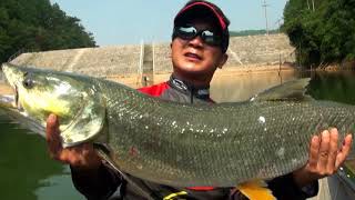 Kingdom Exciting Outdoor Fishing Video 2018 02