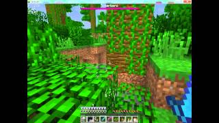 Minecraft TUTORIAL 2: come fare il Wither/Scherbero e altri suggerimenti per la 1.4.2/1.4.4/1.4.5