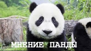 LOLOLOWKA LOLOLOWKA EVERYWHERE