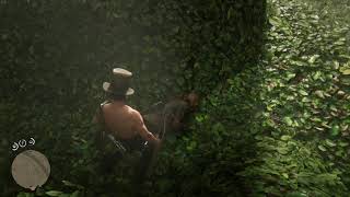 Red Dead Online - lassoed & hogtied ?