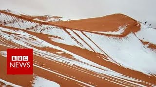 Snow falls in the Sahara desert - BBC News