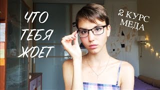 Перешёл на 2 курс меда? УЗНАЙ, ЧТО ТЕБЯ ЖДЁТ | 1 МЕД