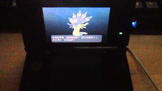 The Best Wonder Trade Ever