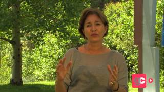 Anne Marie Slaughter: Women and The Work Place