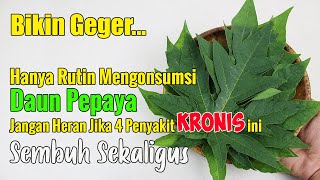 BARU TERUNGKAP.... RUTIN MENGONSUMSI DAUN PEPAYA, RASAKAN DAN LIHAT EFEKNYA UNTUK TUBUH