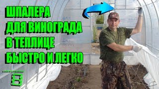 СУПЕР ШПАЛЕРА ДЛЯ ВИНОГРАДА В ТЕПЛИЦЕ БЫСТРО И ЛЕГКО. СЕВЕРНЫЙ ВИНОГРАДНИК