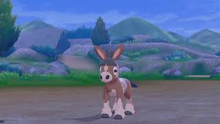 Let's Stream Pokemon Sword – Part 72