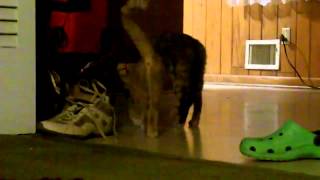Mother and Son (1st experimental short, from 8/6/2010)
