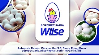 Agropecuaria Wilse [spot publicitario]