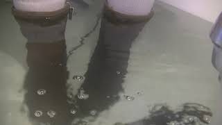 Panama Jack boots getting completely wet