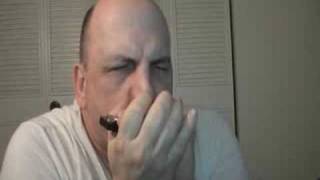 BLUES HARMONICA - Before You Accuse Me - Acoustic Blues Harp
