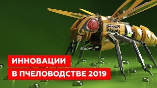 Новинки пчеловодства 2019 — ТОП-15 новинок
