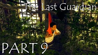 The Last Guardian Прохождение Часть 9 "Падение"